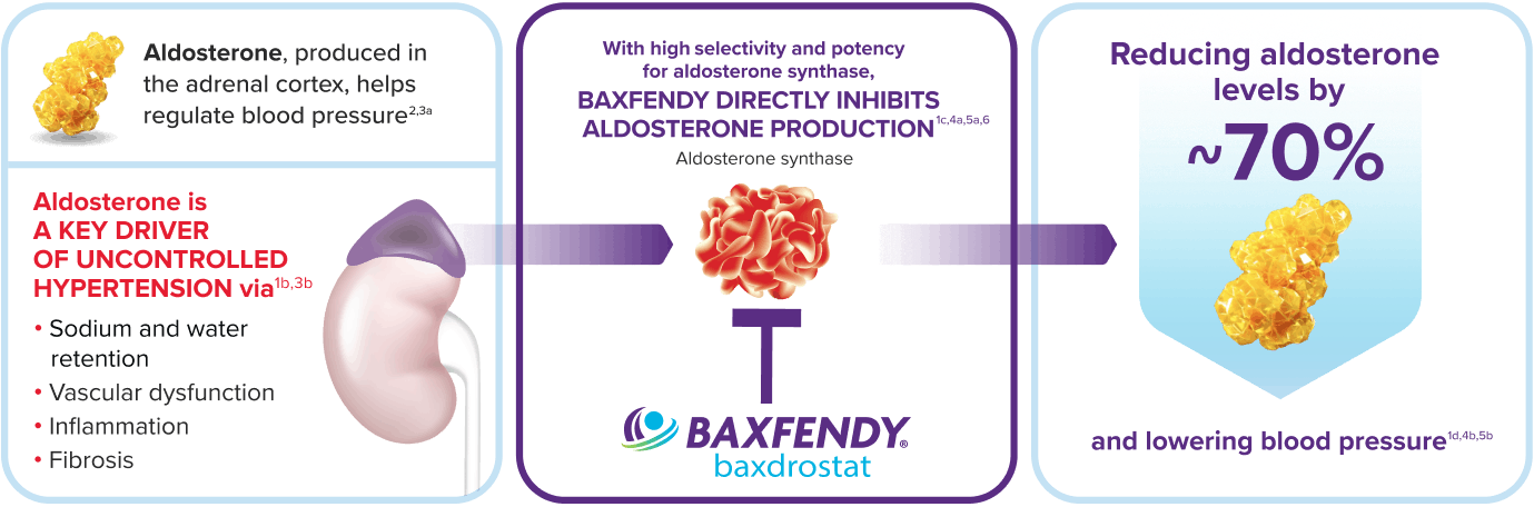 BAXFENDY Mechanism of Action